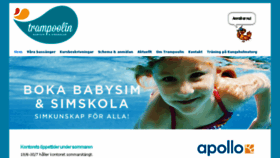 What Babysim.se website looked like in 2017 (6 years ago)