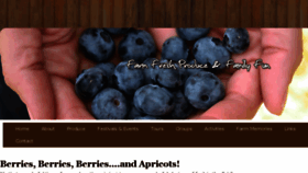 What Billsberryfarm.com website looked like in 2017 (6 years ago)