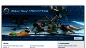 What Buvar.hu website looked like in 2017 (6 years ago)