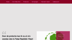 What Babyview.nl website looked like in 2017 (6 years ago)
