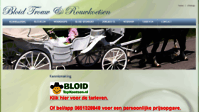 What Bloid.nl website looked like in 2017 (6 years ago)