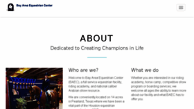 What Baectx.com website looked like in 2017 (6 years ago)