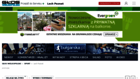What Bulgarska.pl website looked like in 2017 (6 years ago)