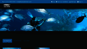 What Bluewaterdivers.com website looked like in 2017 (6 years ago)