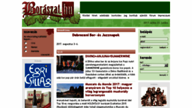 What Boraszat.hu website looked like in 2017 (6 years ago)