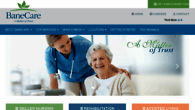 What Banecare.com website looked like in 2017 (6 years ago)