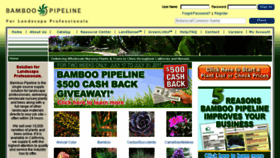 What Bamboopipeline.com website looked like in 2017 (7 years ago)