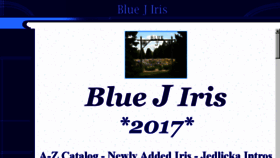 What Bluejiris.com website looked like in 2017 (6 years ago)