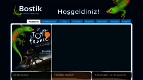 What Bostik.com.tr website looked like in 2017 (6 years ago)