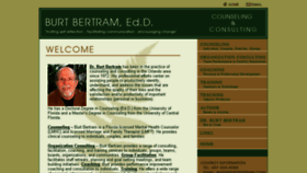What Burtbertram.com website looked like in 2017 (6 years ago)