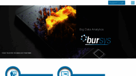 What Bursys.com website looked like in 2017 (6 years ago)