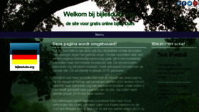 What Bijlesduits.org website looked like in 2017 (6 years ago)