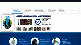 What Bestedanismanlik.com website looked like in 2017 (6 years ago)