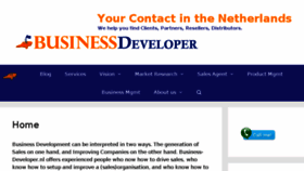 What Business-developer.nl website looked like in 2017 (6 years ago)