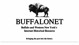 What Buffalonet.org website looked like in 2017 (6 years ago)