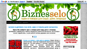What Biznesselo.com website looked like in 2017 (6 years ago)
