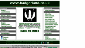 What Badgerland.co.uk website looked like in 2017 (6 years ago)