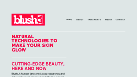 What Blushla.com website looked like in 2017 (6 years ago)