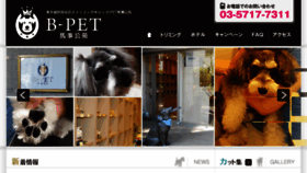 What B-pet.com website looked like in 2017 (6 years ago)
