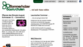 What Bommerholzer-baumschulen.de website looked like in 2017 (6 years ago)