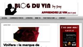 What Blog-du-vin.fr website looked like in 2017 (6 years ago)