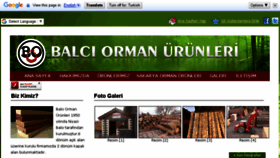 What Balciormanurunleri.com.tr website looked like in 2017 (6 years ago)