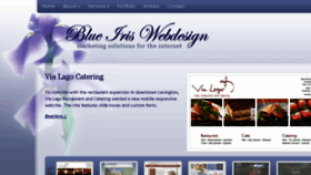 What Blueiriswebdesign.com website looked like in 2017 (6 years ago)
