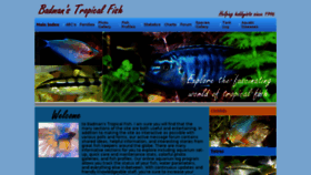 What Badmanstropicalfish.com website looked like in 2017 (6 years ago)