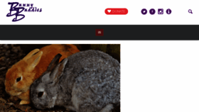 What Bunnybuddies.org website looked like in 2017 (6 years ago)