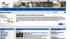 What Bafg.de website looked like in 2017 (8 years ago)