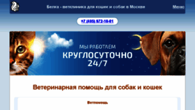 What Belkavet.ru website looked like in 2017 (6 years ago)