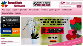 What Bursacicekmagazasi.com website looked like in 2017 (6 years ago)