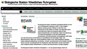 What Bswr.de website looked like in 2017 (6 years ago)