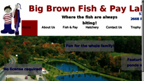 What Bigbrownfish.com website looked like in 2017 (6 years ago)