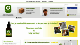 What Bachbloesemadvies.be website looked like in 2017 (6 years ago)
