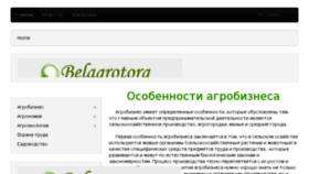 What Belagrobiznes.ru website looked like in 2017 (6 years ago)