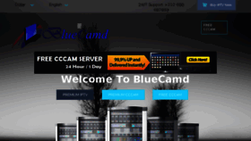 What Bluecamd.com website looked like in 2017 (6 years ago)