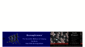 What Biomagscience.net website looked like in 2017 (6 years ago)