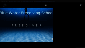 What Bluewaterfreediving.com website looked like in 2017 (6 years ago)
