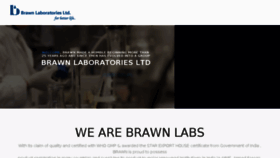 What Brawnlabs.com website looked like in 2017 (6 years ago)