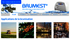 What Brumest.com website looked like in 2017 (6 years ago)