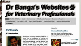 What Bangavet.com website looked like in 2017 (6 years ago)