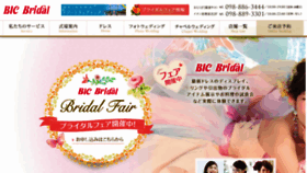 What Bic-okinawa.co.jp website looked like in 2017 (6 years ago)