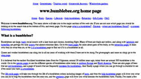 What Bumblebee.org website looked like in 2017 (6 years ago)