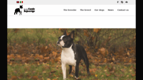 What Bostonterrier.it website looked like in 2017 (6 years ago)