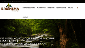What Bruinsma-hydro.nl website looked like in 2017 (6 years ago)