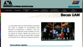 What Becas.uam.mx website looked like in 2017 (6 years ago)