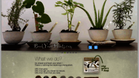 What Bookyourplants.com website looked like in 2018 (6 years ago)