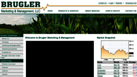 What Bruglermarketing.com website looked like in 2018 (6 years ago)