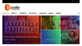 What Bigcoinvietnam.com website looked like in 2018 (6 years ago)